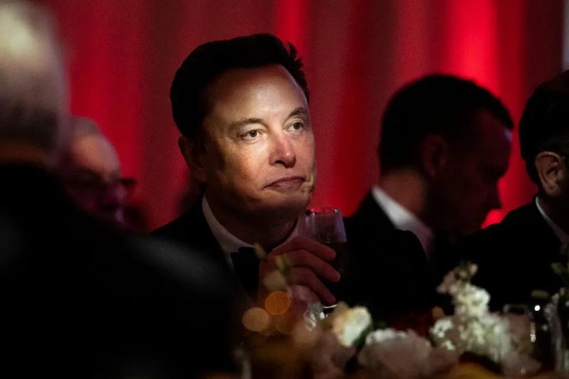 Elon Musk anh 2