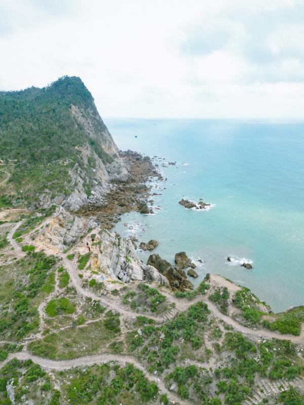 Quan Lan anh 8