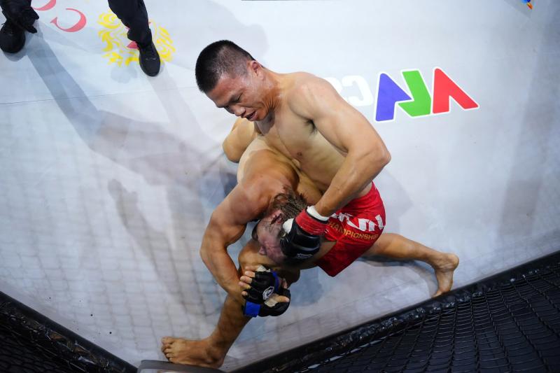 lion championship anh 5