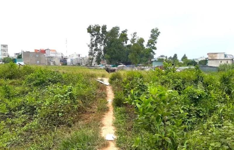lua dao nha dat anh 2
