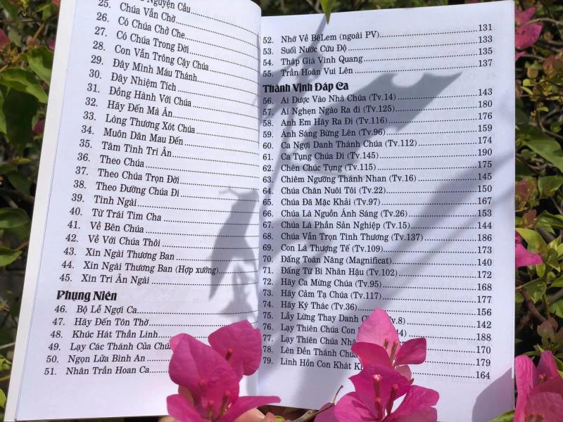 Hoa si Hung Lan anh 4