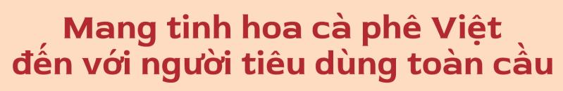 Nha may rang xay anh 9