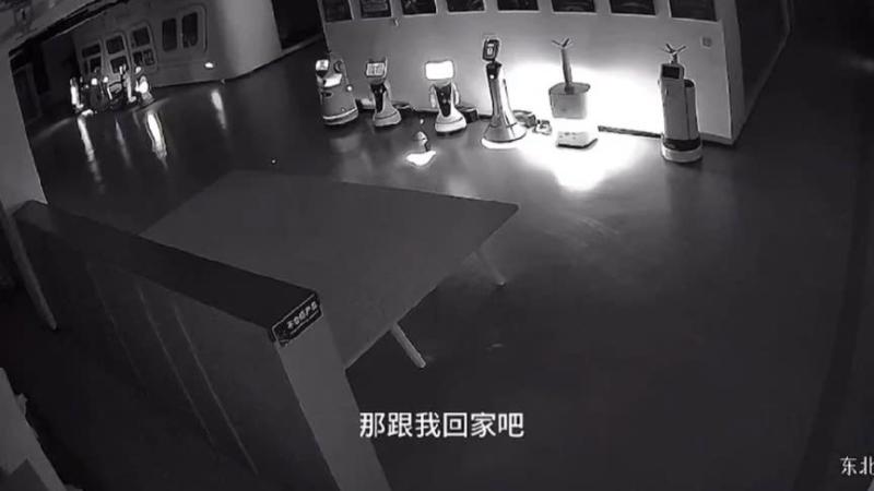 robot bat coc anh 1