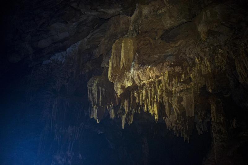 4500 met dong phong nha anh 13