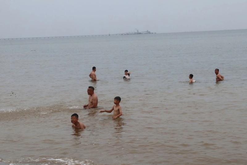 bao Wipha anh 9