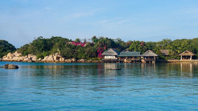 Bai bien hoang so anh 14
