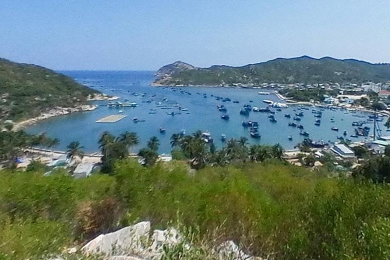 Anh Google Maps anh 15
