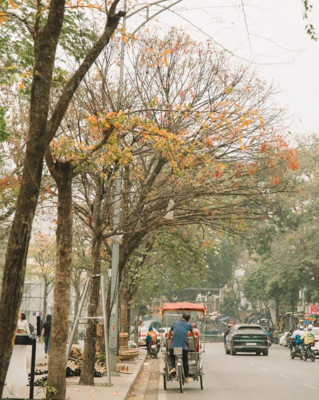 du lịch Hà Nội ảnh 31 du lich Ha Noi anh 31