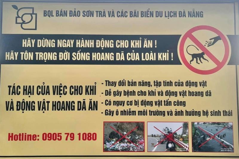 khi Son Tra anh 9