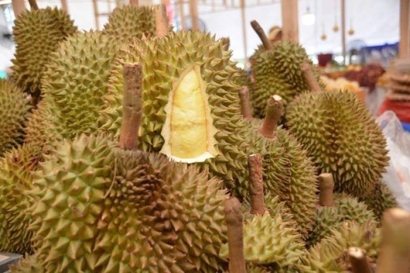 sau rieng Dona,  Ri6 anh 2