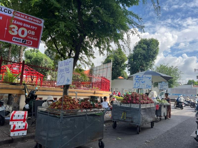 vai,  sau rieng,  man ha noi,  cho ba chieu anh 12