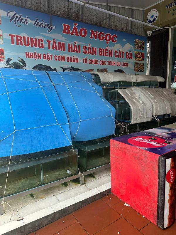 bao wipha do bo anh 6