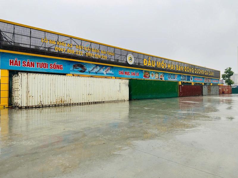 bao wipha do bo anh 5